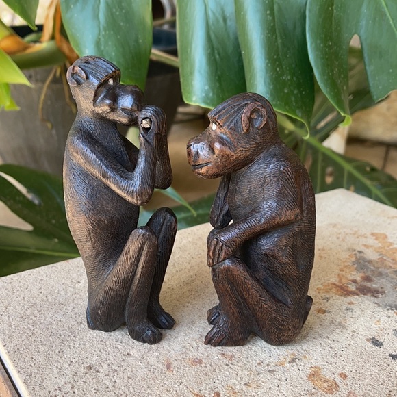 2 Monkeys - Picture 4 of 7